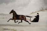 Rennend Paard door Sneeuw Discount