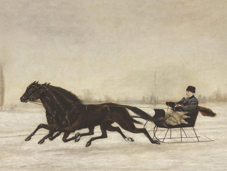 Rennende Paarden voor een Kar Online Sale