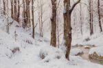 Sneeuw in het Bos Online