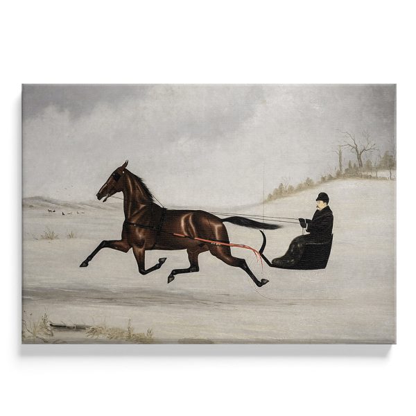 Rennend Paard door Sneeuw Discount