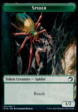 Beast (007)    Spider Double-Sided Token [Innistrad: Midnight Hunt Commander Tokens] Online now