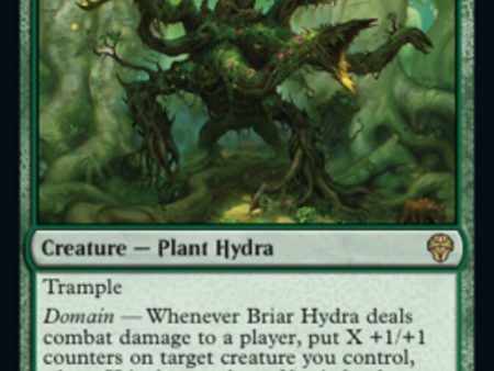 Briar Hydra [Dominaria United] For Sale