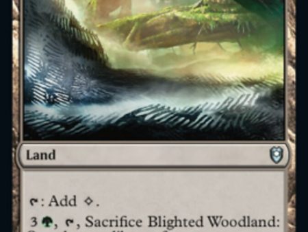 Blighted Woodland [Commander Legends: Battle for Baldur s Gate] For Cheap