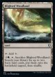 Blighted Woodland [Commander Legends: Battle for Baldur s Gate] For Cheap