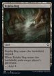 Bojuka Bog [Dominaria United Commander] Discount