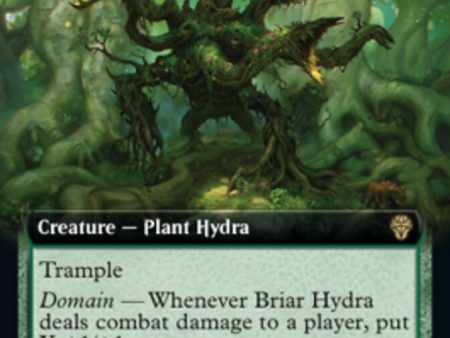 Briar Hydra (Extended Art) [Dominaria United] Hot on Sale